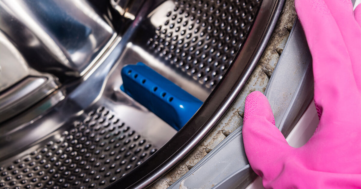 Mold on washing machine rubber seal