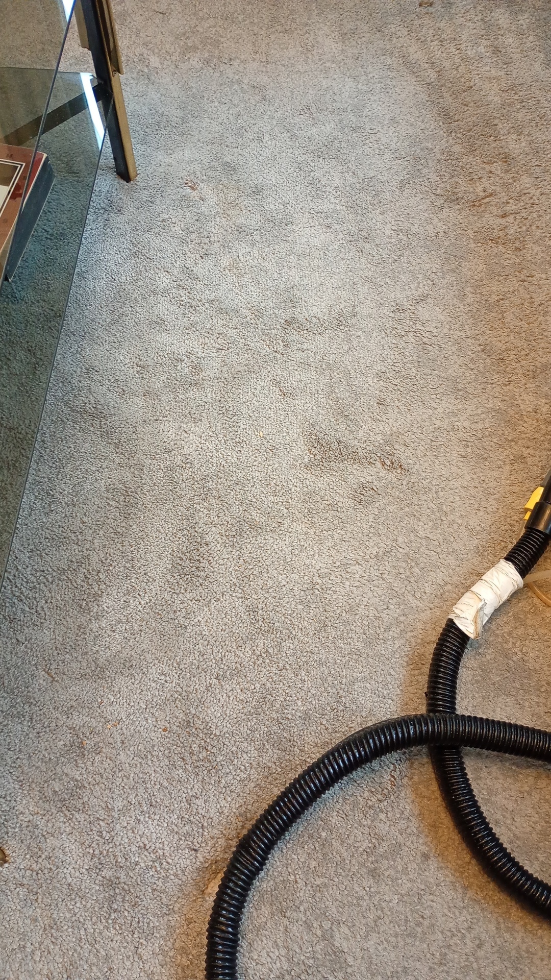 Before photo for Upholstery Cleaning