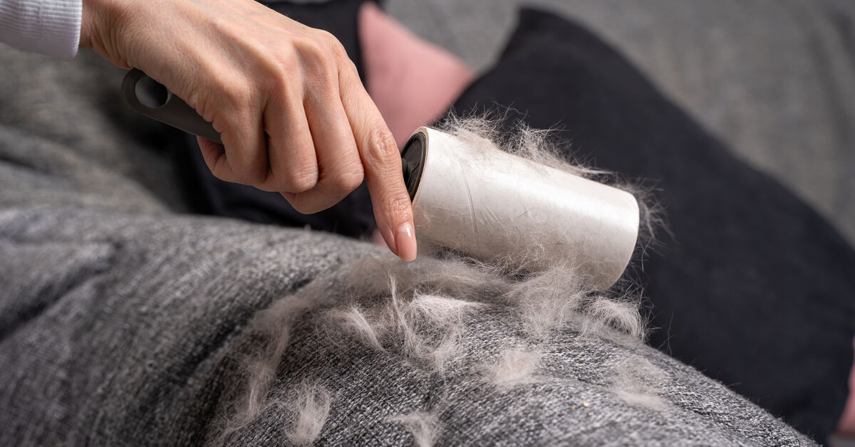 Sofa cleaning tools for pet hair