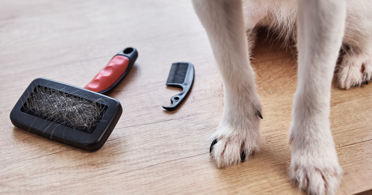 Assorted grooming tools for shedding control