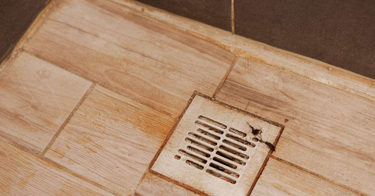 Mold around shower base and corners