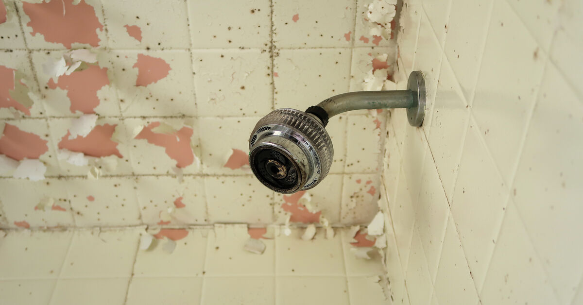 Cracked tile floor with damaged joints