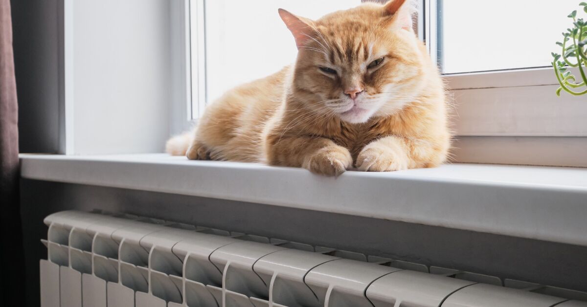 Fresh room with cleaned radiator