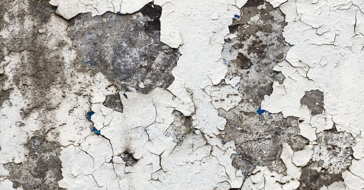Damaged wall with peeling damp patches
