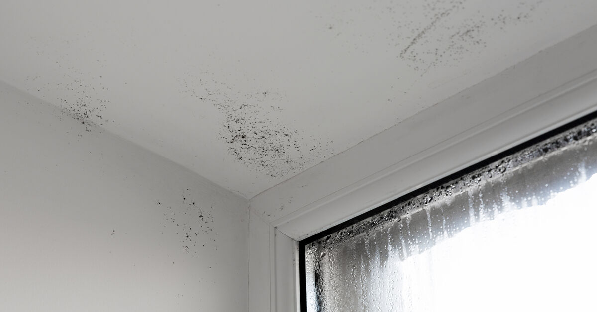 Dust buildup in neglected room corner