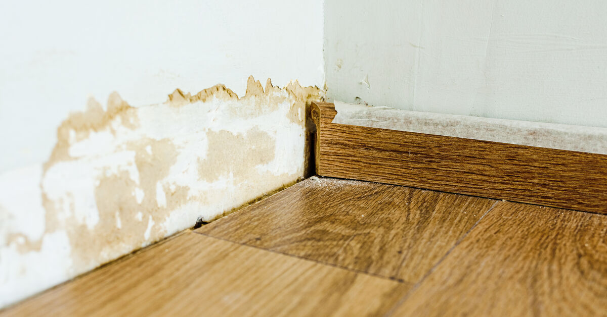 Dust gathered in wall corner seam